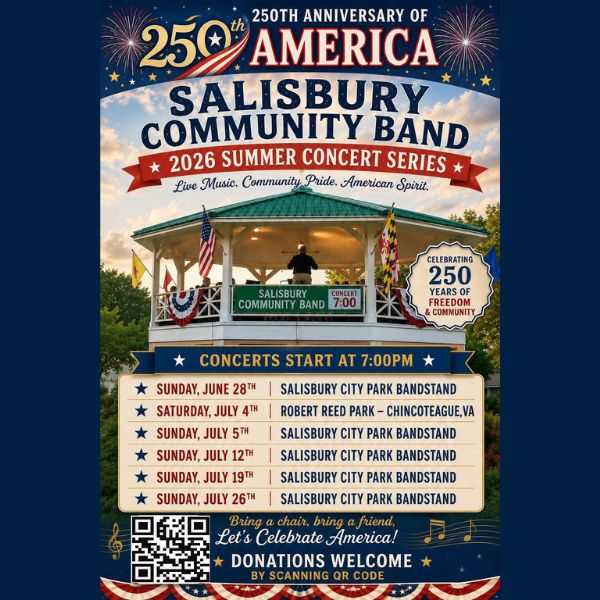 Salisbury Community Band in City Park image